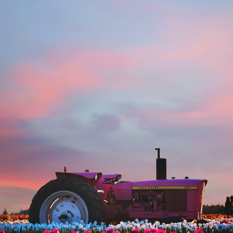 pexels-dellamortphotography-693857